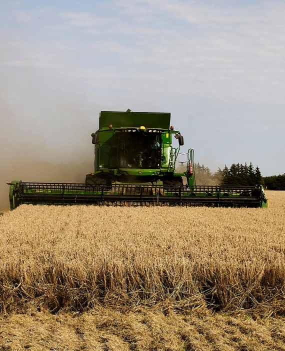 Gæsteundersøgelse.